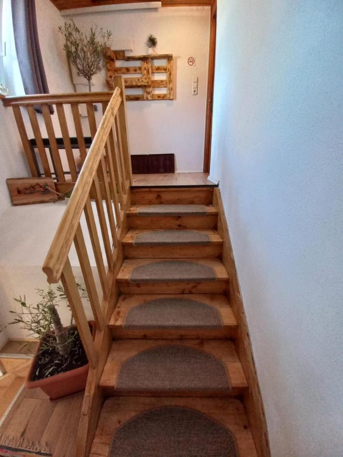 Appartement Muellner 布肯 外观 照片
